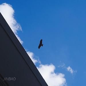 美女全身赤裸被塞汗强奸
