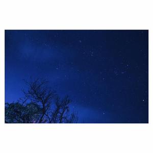 美女全身赤裸被塞汗强奸
