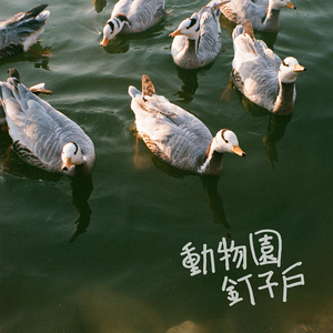 美女全身赤裸被塞汗强奸
