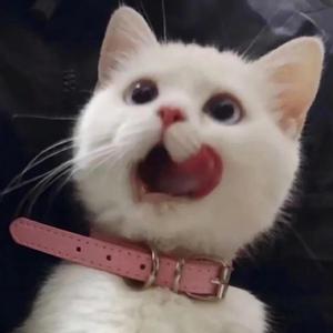 美女全身赤裸被塞汗强奸
